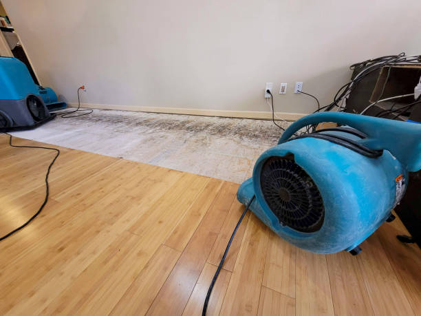 Professional Ceiling Water Damage Repair technician working in Fulton, SD